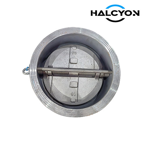 Marine Dual Plate Check Valve